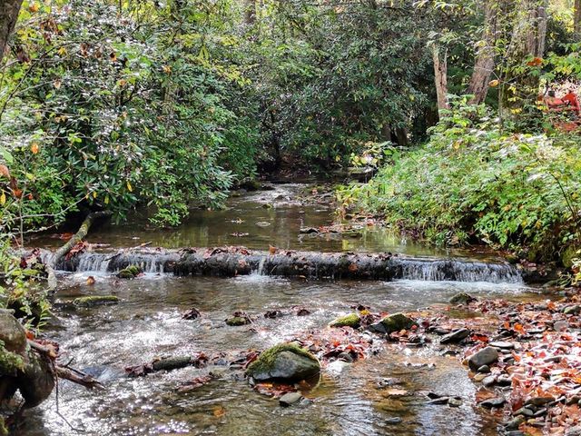 2515 Road 9999, Hiawassee, GA 30546