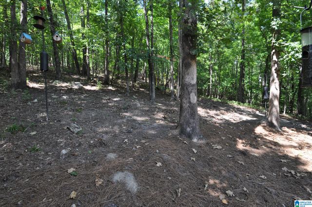 105 QUARTER HORSE LANE, Alabaster, AL 35007