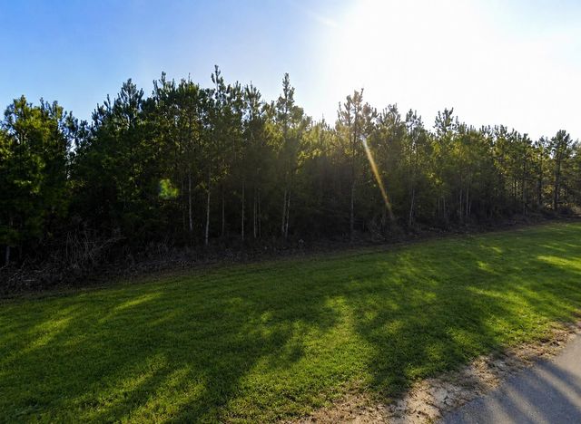 11514 Inspiration Drive, Willis, TX 77378