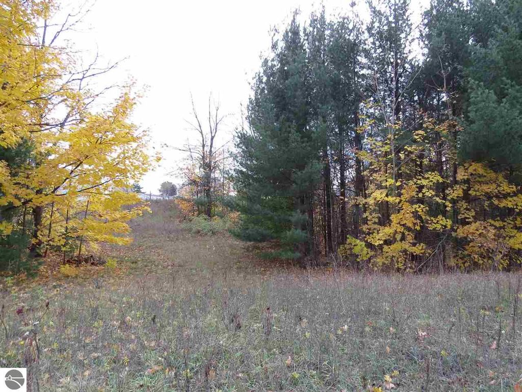 Image 2 of property listing at Lot 67 Eden Street, Kingsley, MI 49649
