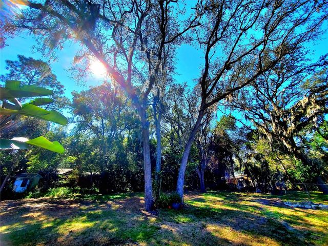 804 ROBIN AVENUE, Palm Harbor, FL 34683