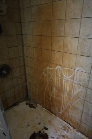 1133 LIVE OAK LANE, Lutz, FL 33549