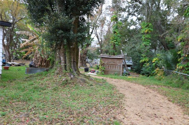 1133 LIVE OAK LANE, Lutz, FL 33549