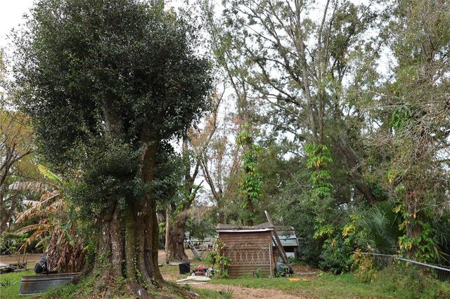 1133 LIVE OAK LANE, Lutz, FL 33549