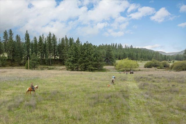 00XXX Fisher Rd E, Reardan, WA 99029
