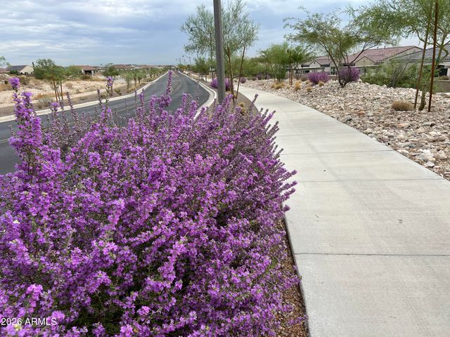 3474 N HOOPER Street, Buckeye, AZ 85396