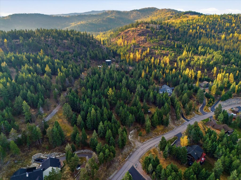 218 Walking Coyote Drive, Kalispell, MT 59901 photo 3