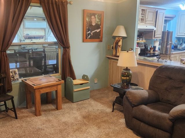 218 W Detrital Drive, Meadview, AZ 86444