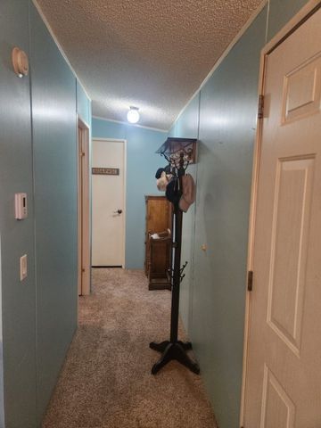 218 W Detrital Drive, Meadview, AZ 86444