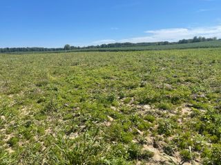 1 W CR 990 North Tract "G", Elizabethtown, IN 47232