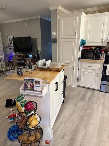 13330 SE 21ST PLACE, Morriston, FL 32668