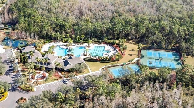 20404 HARVEST OAK COURT, Tampa, FL 33647