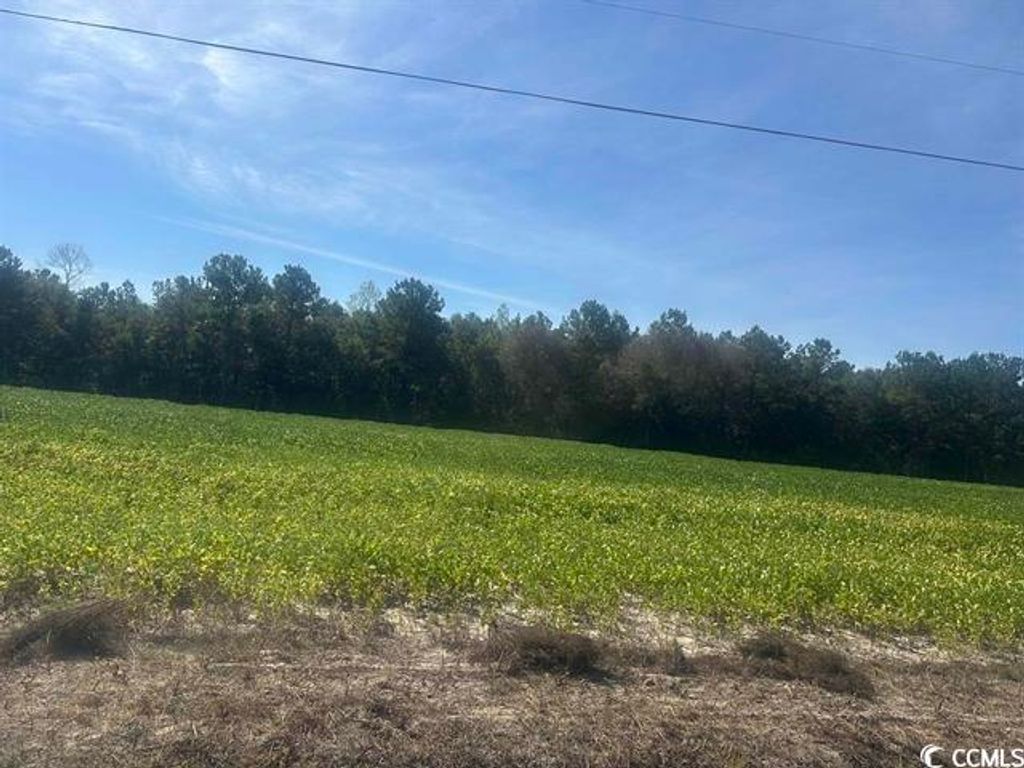 Tansy Rd., Loris, SC 29569 — photo 2