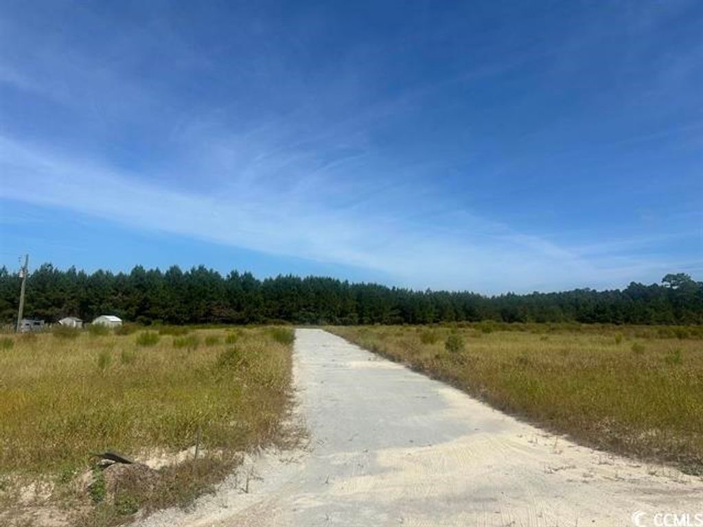 Tansy Rd., Loris, SC 29569 — photo 3