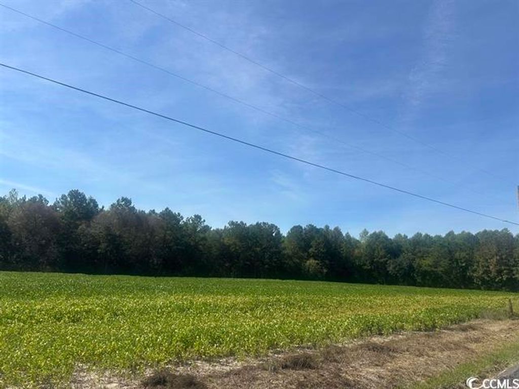 Tansy Rd., Loris, SC 29569 — photo 4