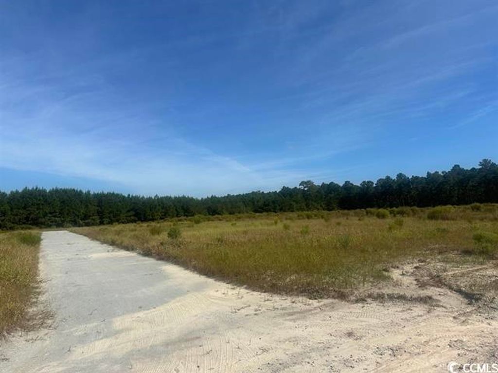 Tansy Rd., Loris, SC 29569 — photo 5