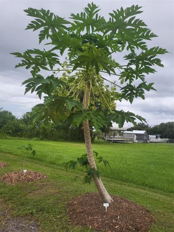 136 SW 85th Ave., Okeechobee, FL 34974