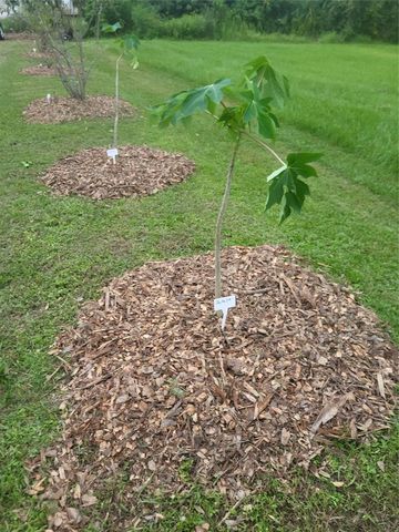 136 SW 85th Ave., Okeechobee, FL 34974