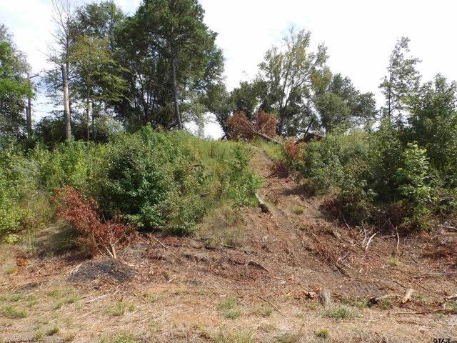16393 W HWY 31 Lot-4, Tyler, TX 75709