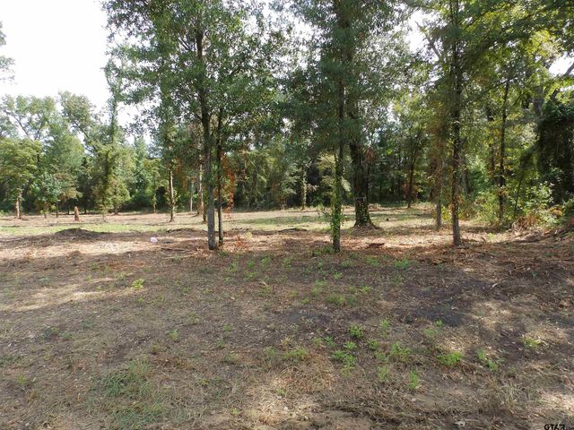 16393 W HWY 31 Lot-4, Tyler, TX 75709