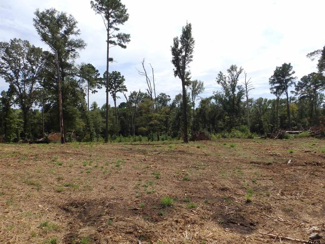 16393 W HWY 31 Lot-4, Tyler, TX 75709