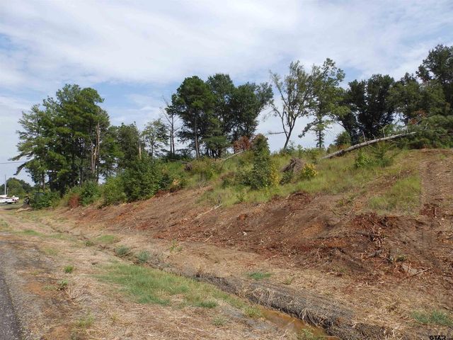 16393 W HWY 31 Lot-4, Tyler, TX 75709