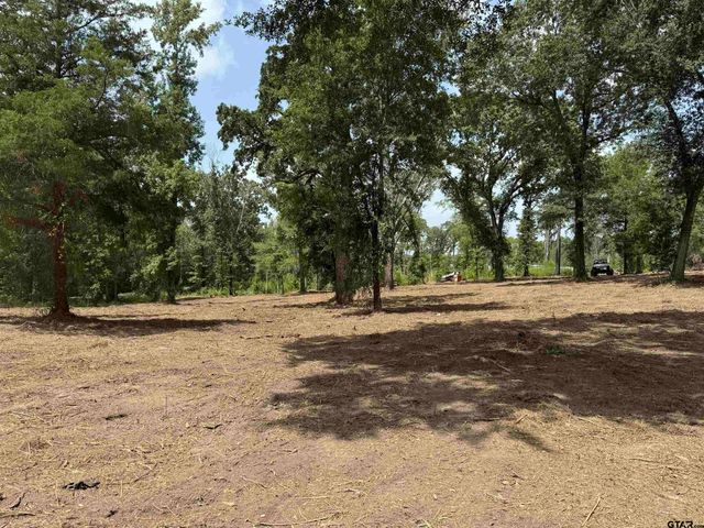 16393 W HWY 31 Lot-4, Tyler, TX 75709