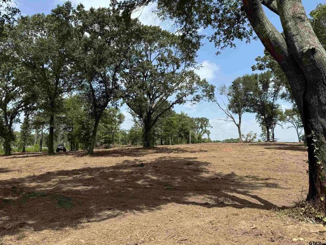 16393 W HWY 31 Lot-4, Tyler, TX 75709