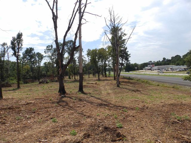 16393 W HWY 31 Lot-4, Tyler, TX 75709