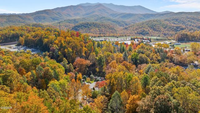 217 Seaton Drive, Gatlinburg, TN 37738