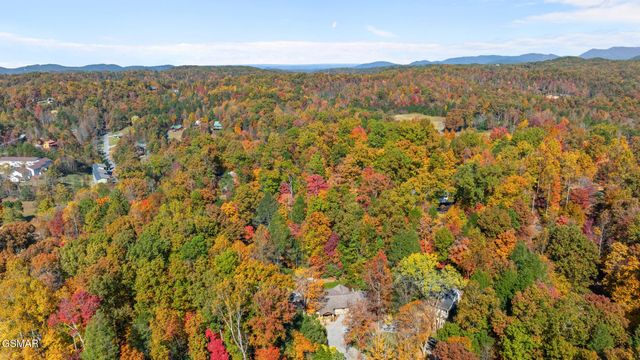 217 Seaton Drive, Gatlinburg, TN 37738