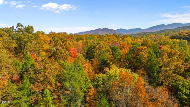 217 Seaton Drive, Gatlinburg, TN 37738