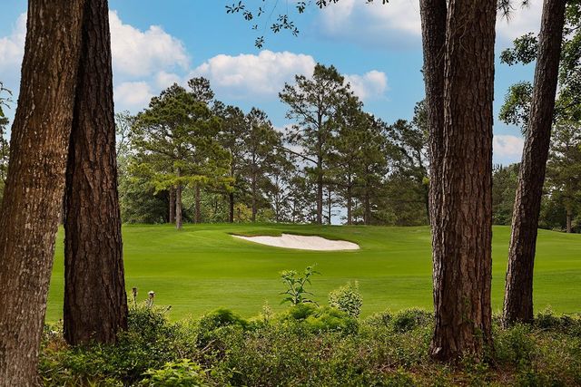 23 N Fazio Way, The Woodlands, TX 77389