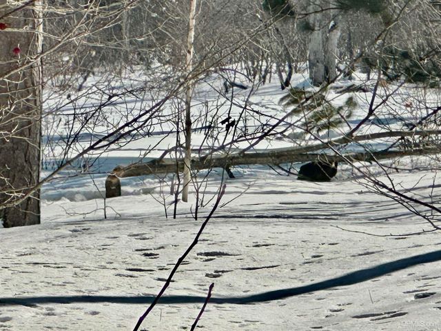 272 Timberlane Drive, Marquette, MI 49855