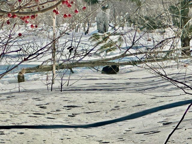 272 Timberlane Drive, Marquette, MI 49855