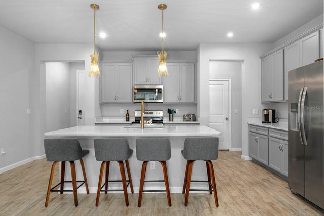 4236 CLOUD HOPPER WAY, Lutz, FL 33559