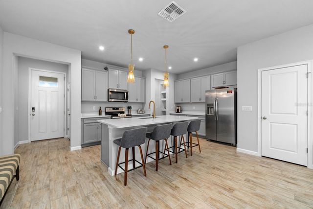 4236 CLOUD HOPPER WAY, Lutz, FL 33559