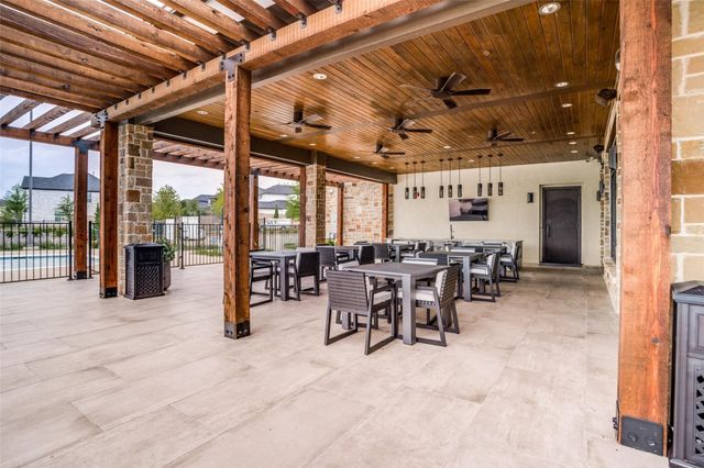 10659 Downy Cup Drive, Frisco, TX 75035
