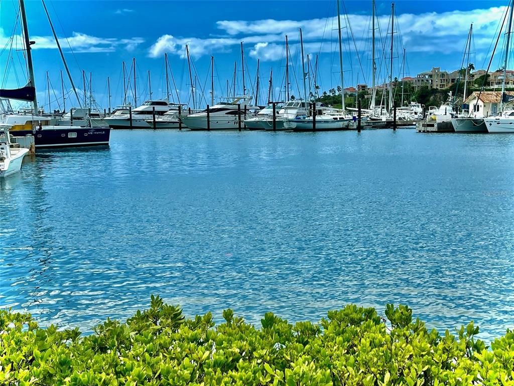 Image 23 of property listing at ACADEMY DRIVE, Humacao, PR 00791