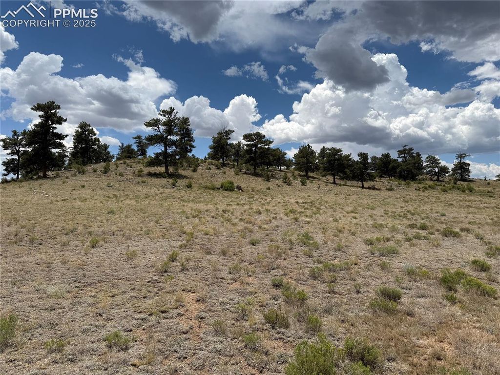 HoHoKan Trail, Hartsel, CO 80449 — exterior