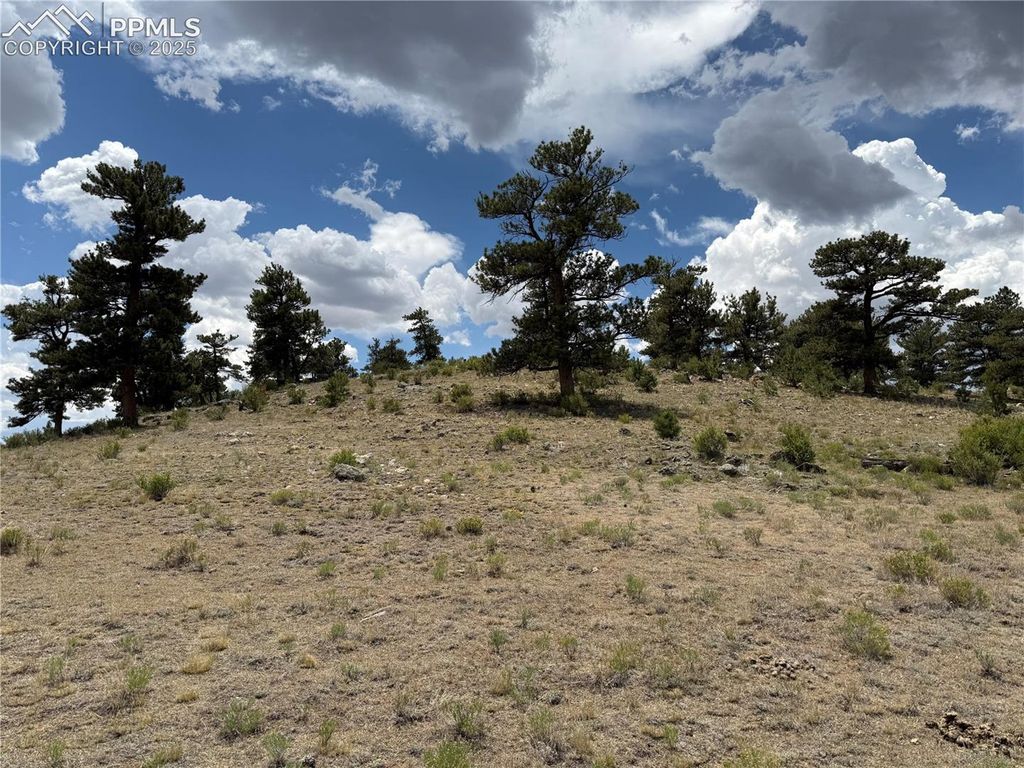 HoHoKan Trail, Hartsel, CO 80449 — photo 2