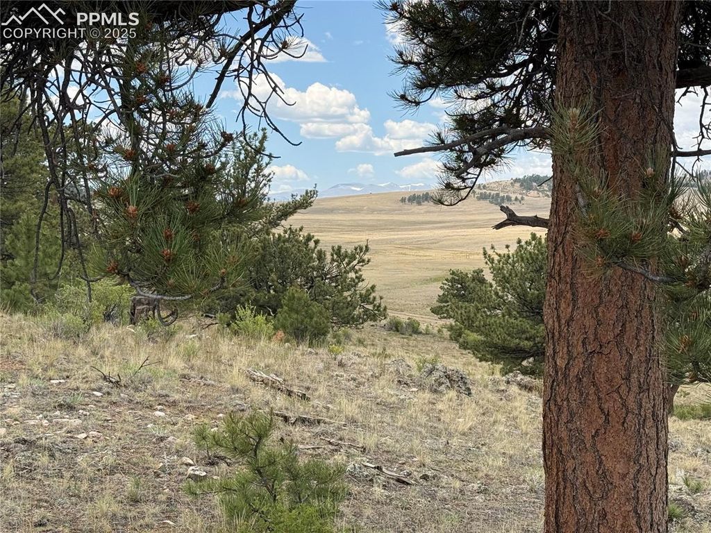 HoHoKan Trail, Hartsel, CO 80449 — photo 3