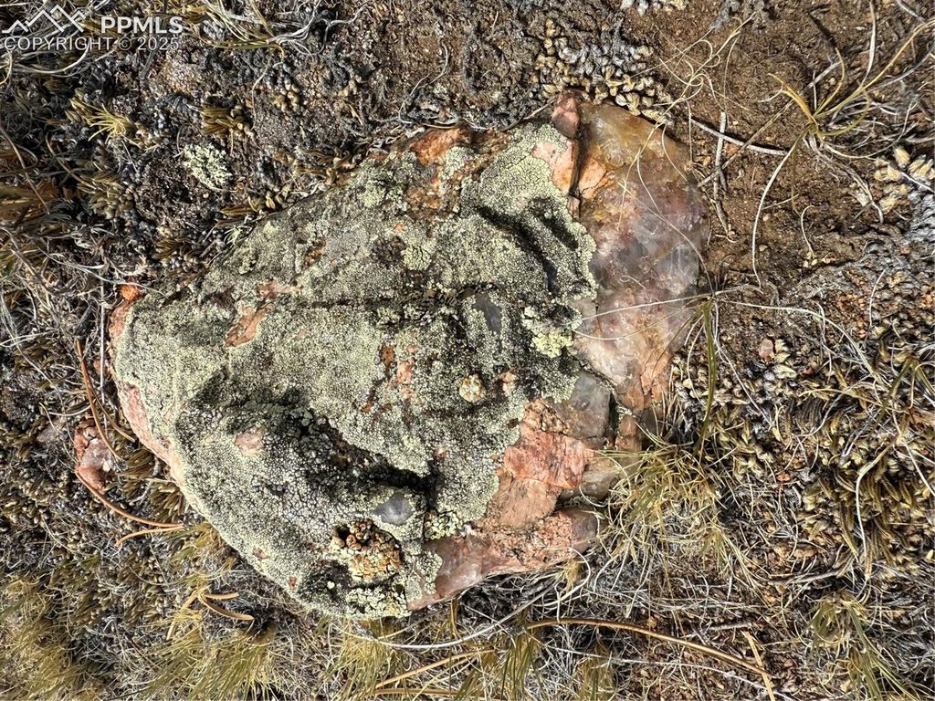 HoHoKan Trail, Hartsel, CO 80449 — photo 4