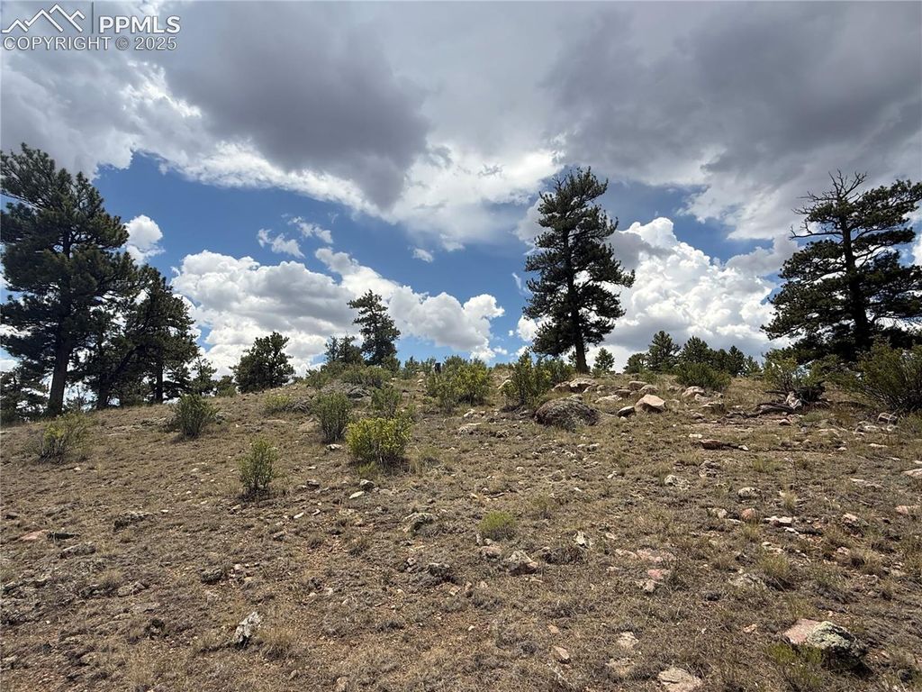 HoHoKan Trail, Hartsel, CO 80449 — photo 5