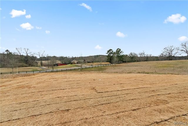 11208 Highland Lakes, Northport, AL 35475