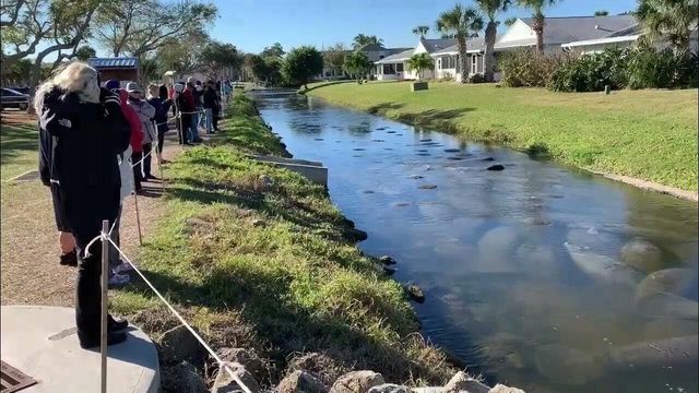 517 Summerset Court, Indian Harbour Beach, FL 32937