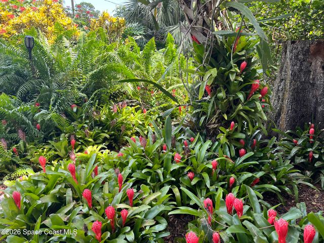 490 Carol Drive NE, Palm Bay, FL 32907