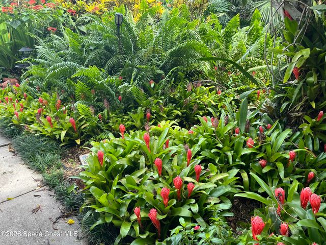 490 Carol Drive NE, Palm Bay, FL 32907