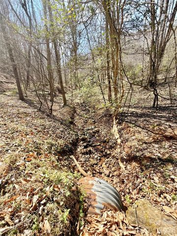 1218 Wittenburg Road, Taylorsville, NC 28681