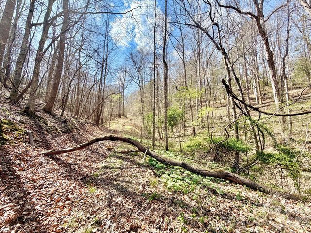 1218 Wittenburg Road, Taylorsville, NC 28681